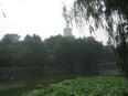 景觀(guān)園林：北海公園