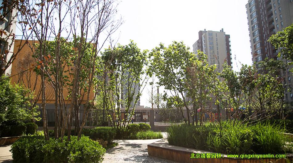 中糧萬科 長陽項(xiàng)目 小學(xué)園林