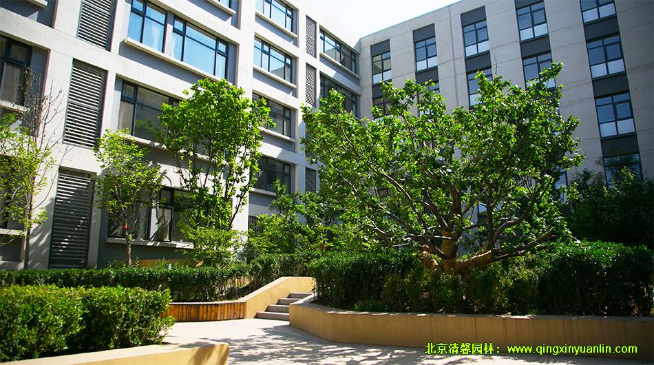 中糧萬科 長陽項(xiàng)目 小學(xué)園林