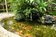 水景設(shè)計(jì)中的潛在問(wèn)題