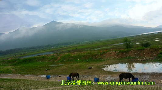 清馨園林市場部團隊建設(shè)活動順利舉行