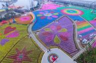 花卉種植園變身風車海洋 風車展將持續(xù)到四月底